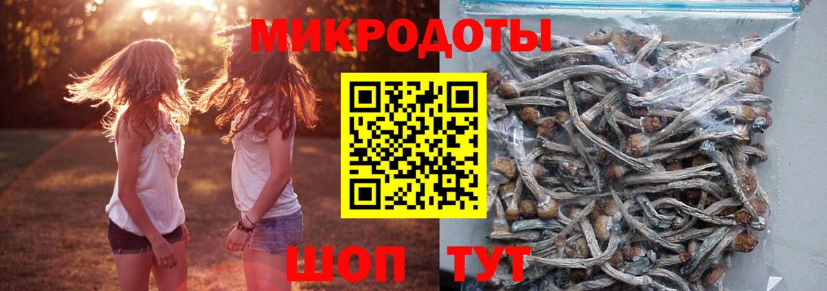 Псилоцибиновые грибы MAGIC MUSHROOMS  Вход с VPN  купить  сайты  Фрязино 