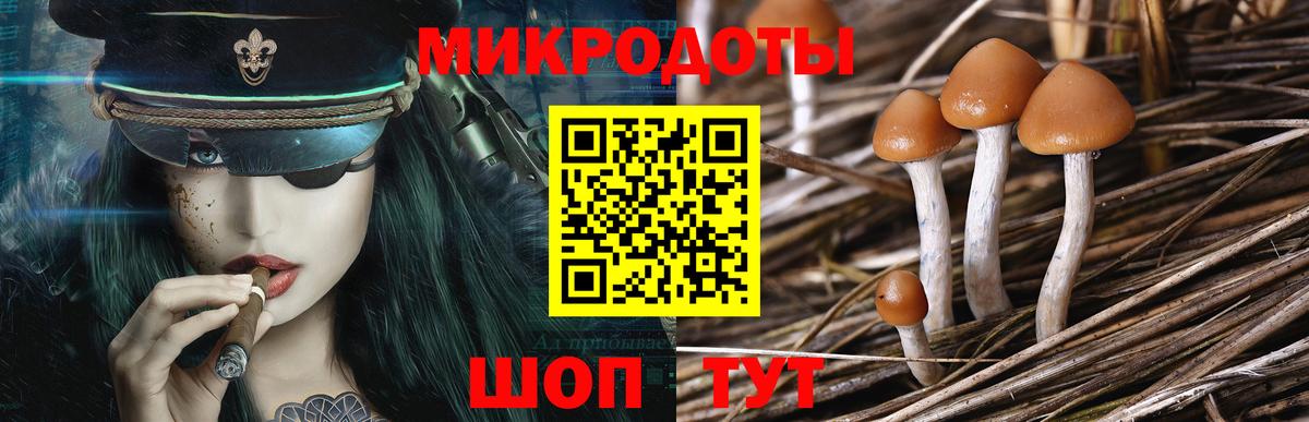 Галлюциногенные грибы прущие грибы Фрязино